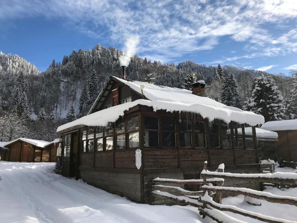 Kardelen Bungalov Evleri photo