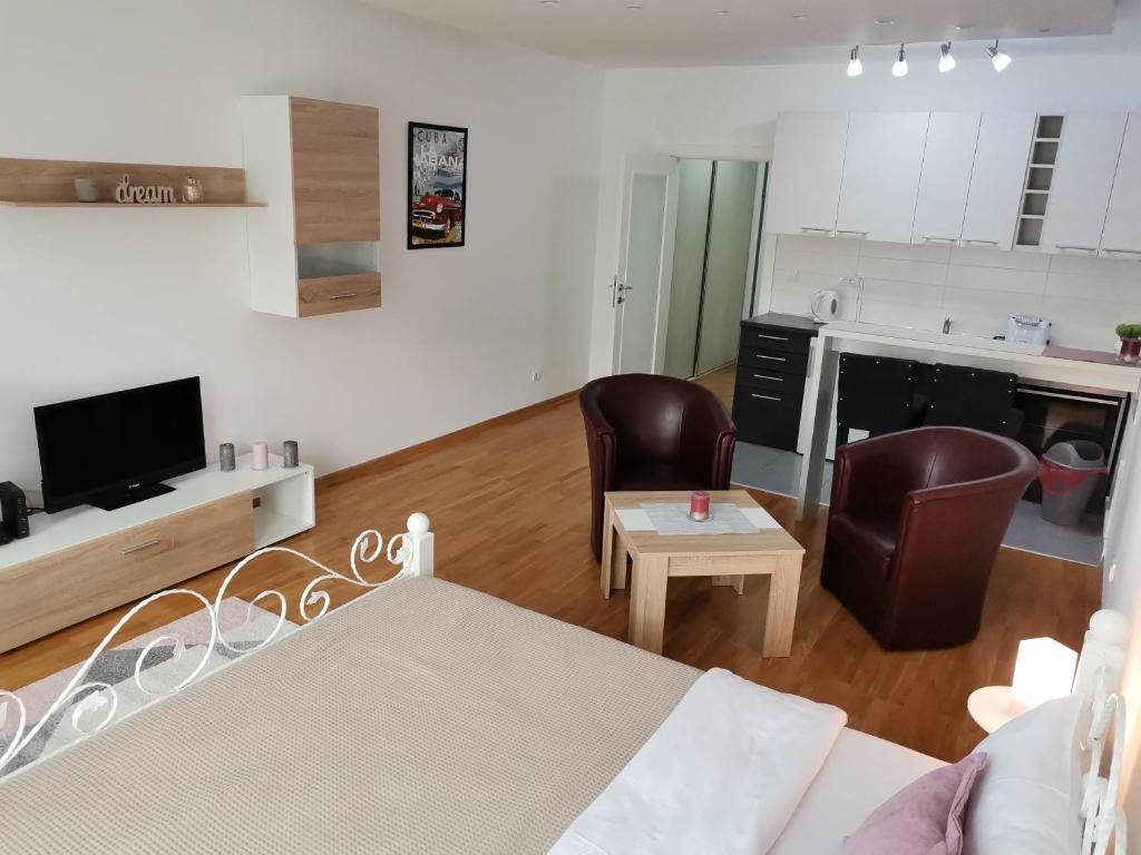 VIKONT studio apartment with parking 5 eur per day - 5