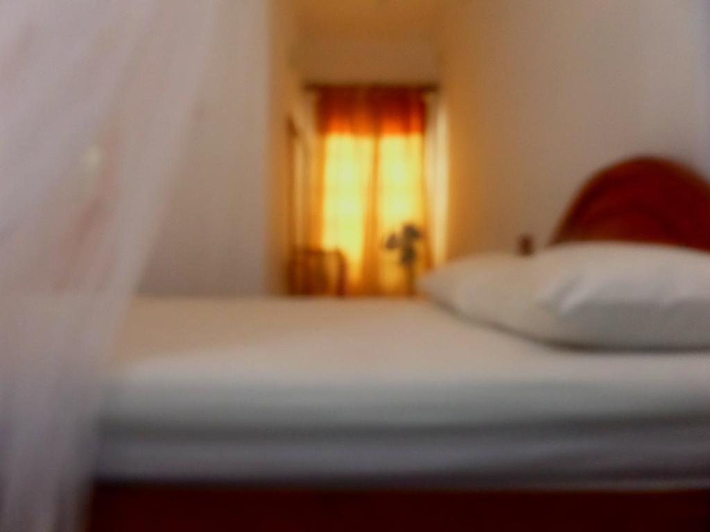 Forest View Homestay photo