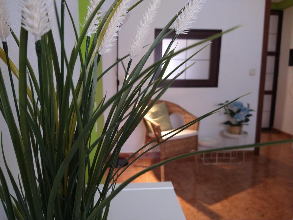 Central Estudio Torremolinos - Estudio 4 - 3