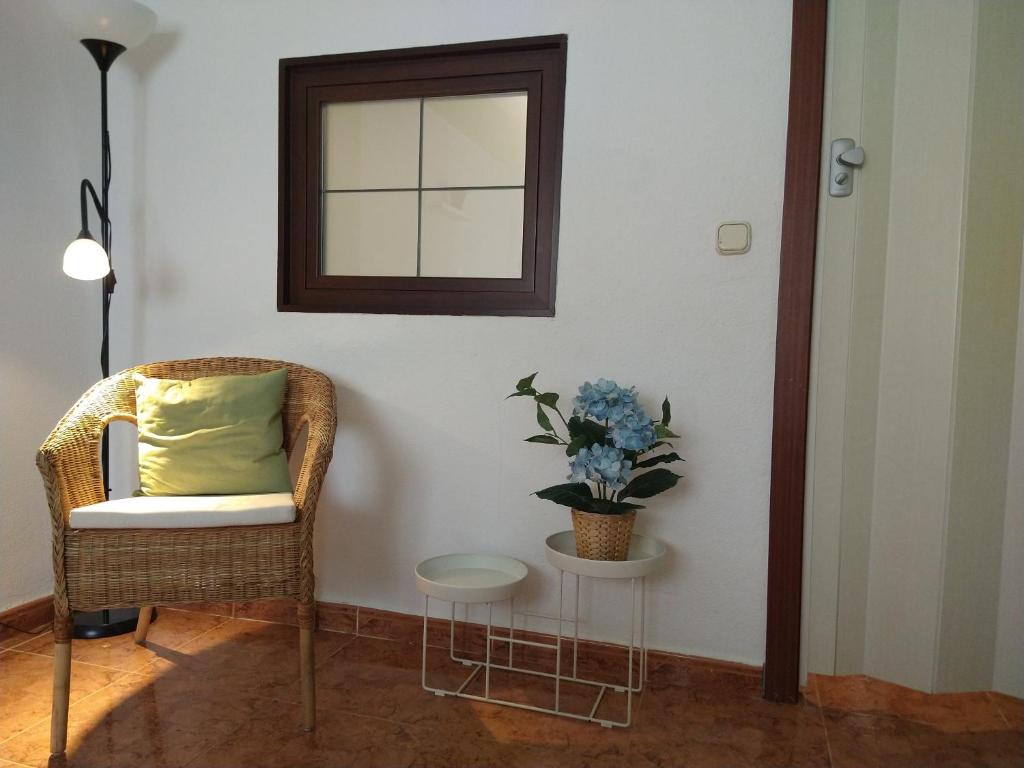 Central Estudio Torremolinos - Estudio 4 - 5