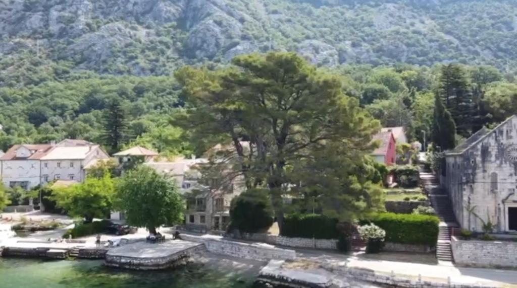 lovely apartment on the sea shore, with a view and free Wi-Fi - 5