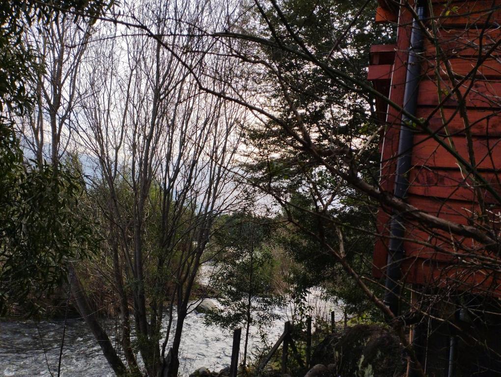 CABAÑA EL DIUCO EN COÑARIPE 8 - 2