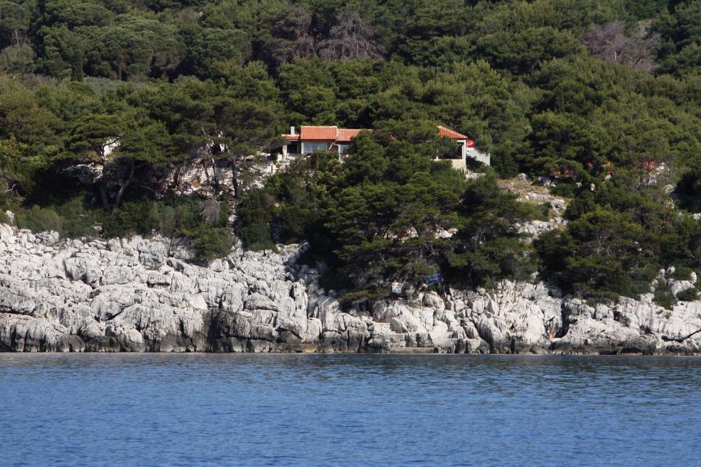 Apartments by the sea Cove Saplunara, Mljet - 4925 — Hotel in Saplunara