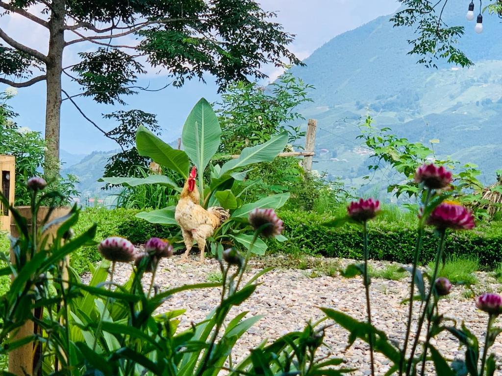 Surrounding environment