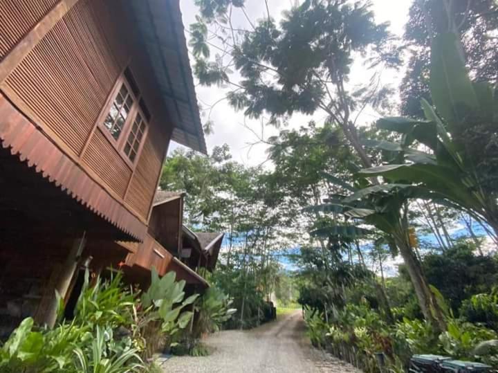 Jimmy Durian Orchard photo
