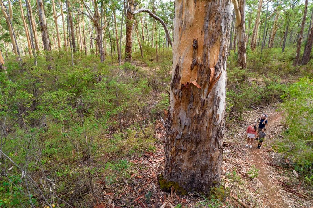RAC Margaret River Nature Park photo