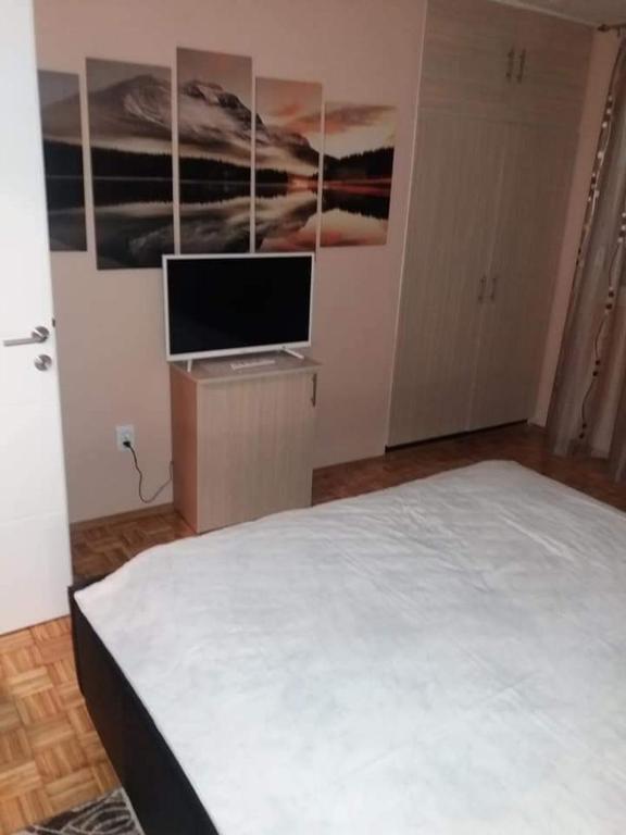 Apartman Radjenovic - 5