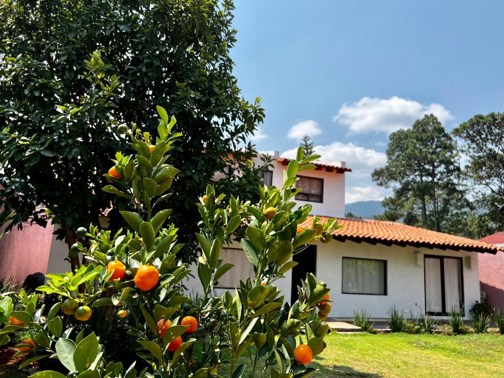 Casa Lunah Avandaro - 4