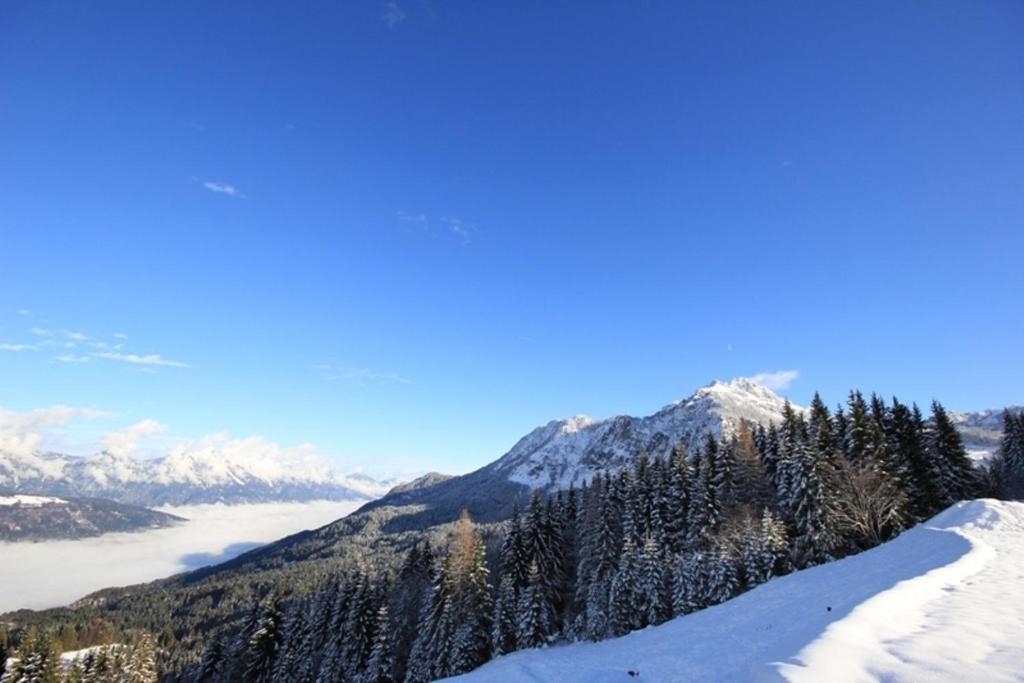 das Bergerleben - 4