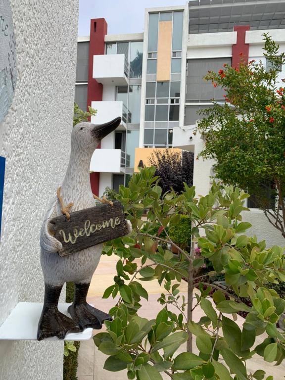 Dali Suites -Accommodations in Playas de Tijuana - 5