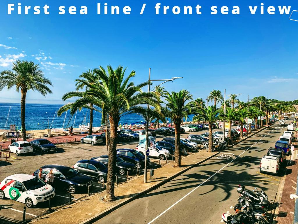 Happy LLoret - 2