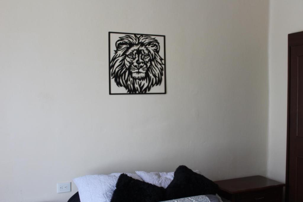 Habitación 1 Casa Minerva - 4