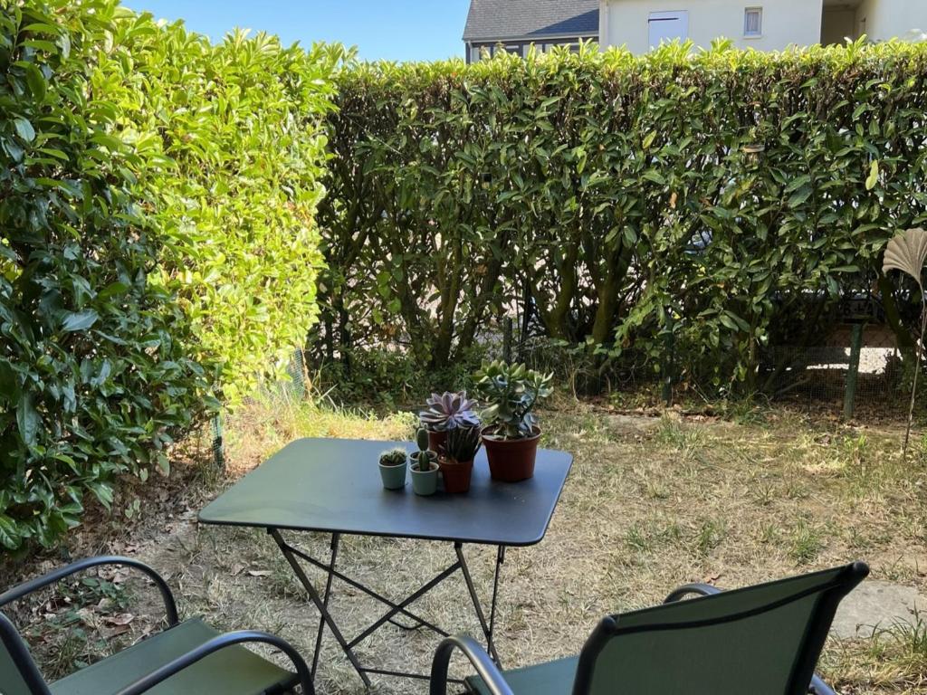 Appartement T2 avec Jardin, Proche Plage et Centre, Parking Privé, Animaux Acceptés, Wi-Fi Gratuit - FR-1-487-342 - 3