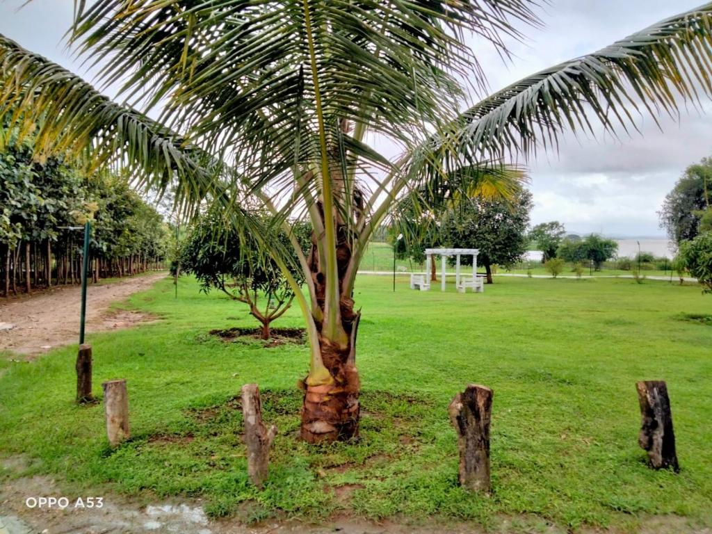 Kabini Lake View Resort photo