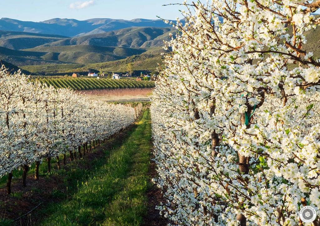 Scheepers Rust Guest Farmhouse, Montagu