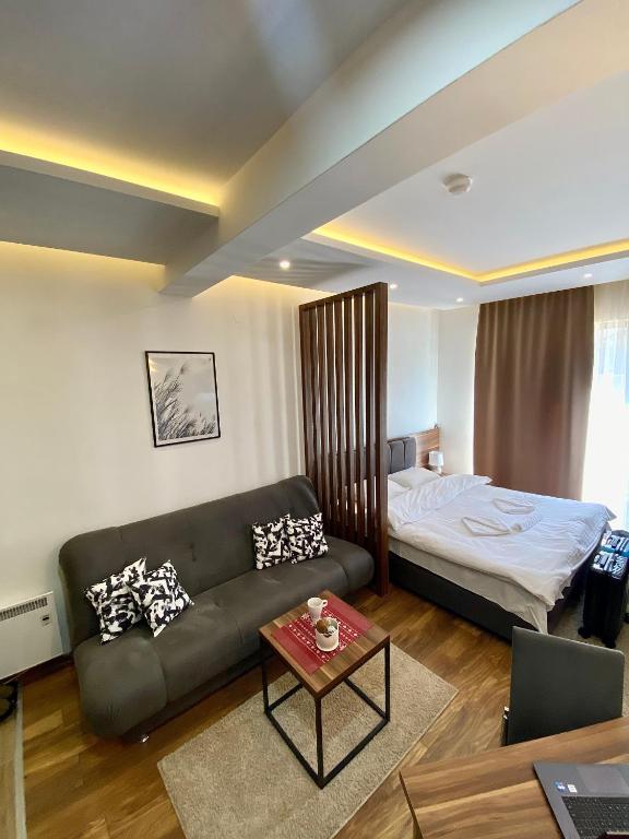 Apartman Milosavljevic-President Kop - 3