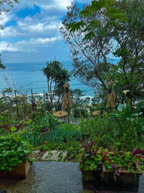 Surrounding environment
