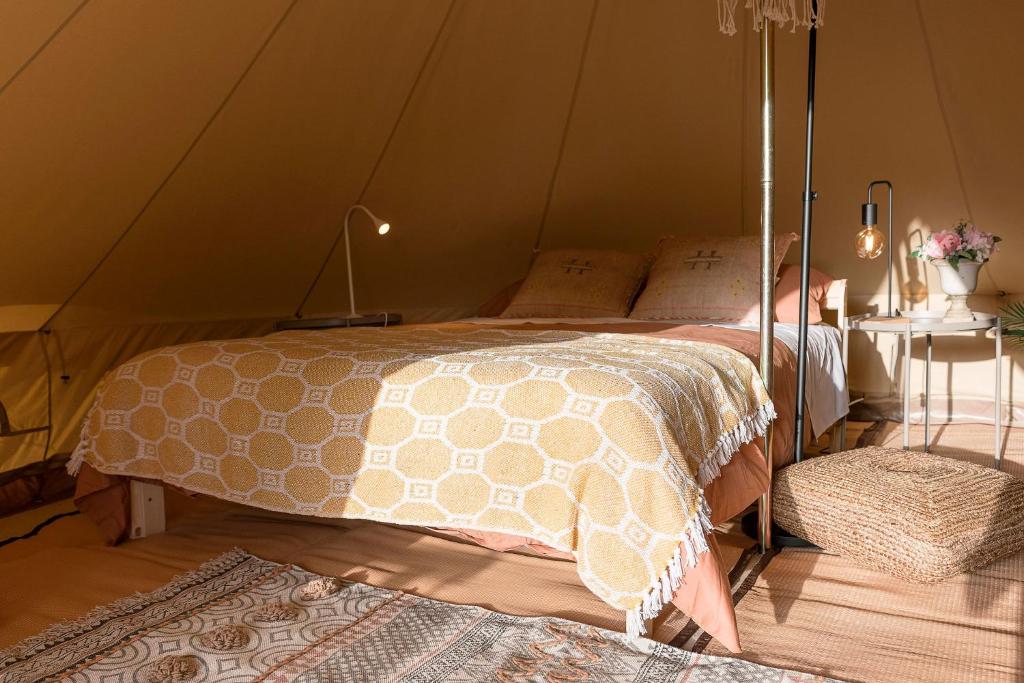 Glamping La Mimosa CONIL - 3