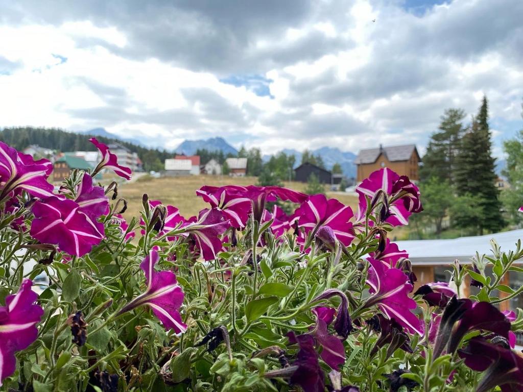 Apartment Zabljak Center - 3