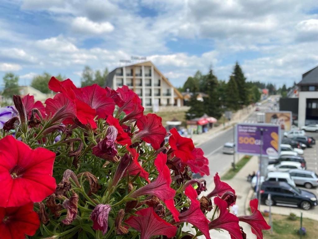 Apartment Zabljak Center - 4