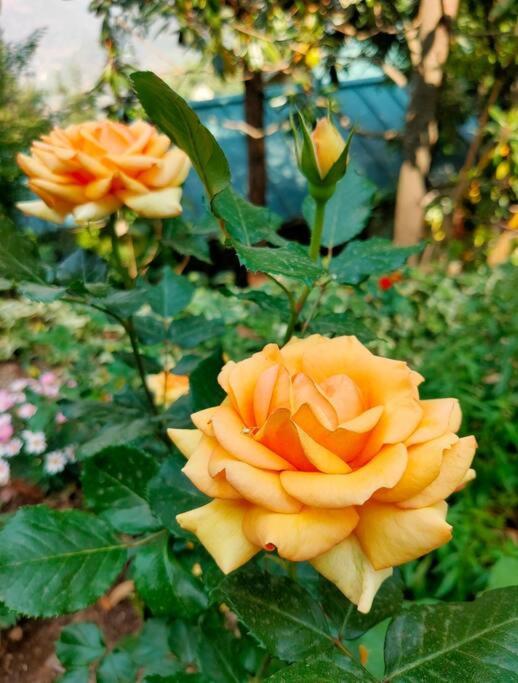 Jannat Ramgarh photo