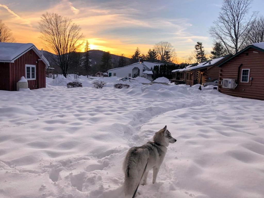 New England Inn & Lodge photo