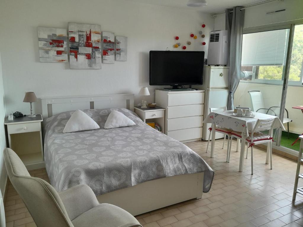 STUDIO CONFORT ET LUMINEUX avec LOGGIA ET PARKING - 1