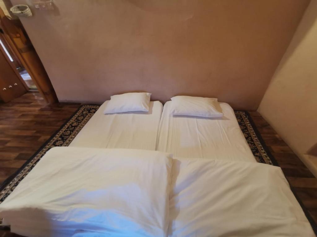 Apartament amb Balcó
