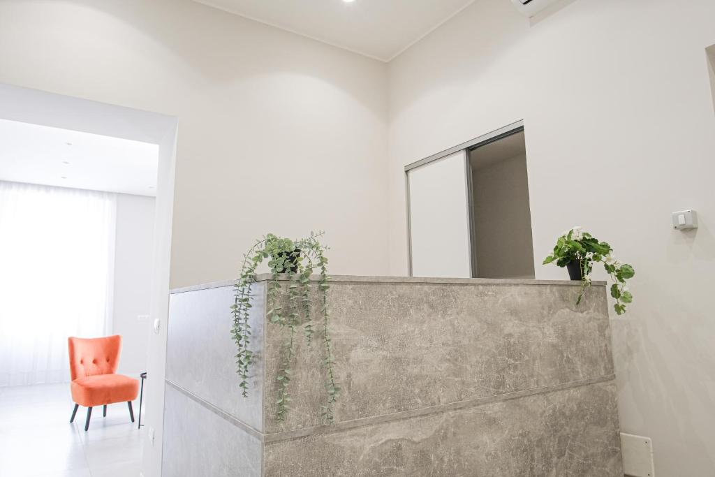 Domus Alberto photo