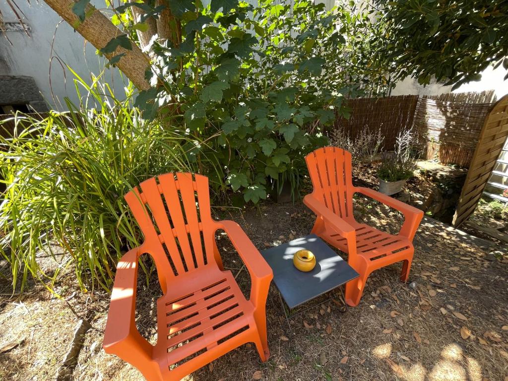 Le Patio, coeur de ville avec garage et jardin - 3