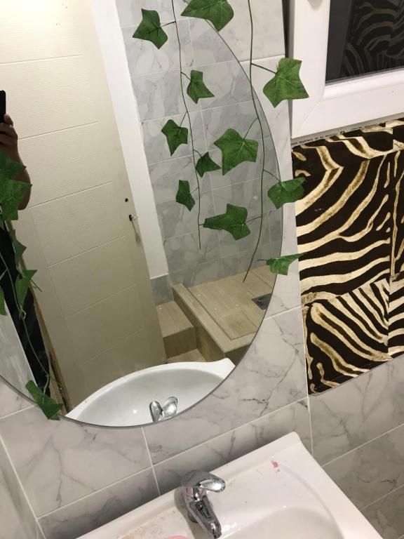 Kuca na reci za zurke atina s photo