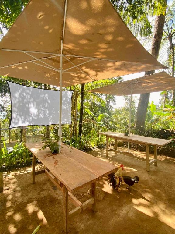 A-frame Villa at Tierra Verde, “Little Baguio” Real, Quezon photo
