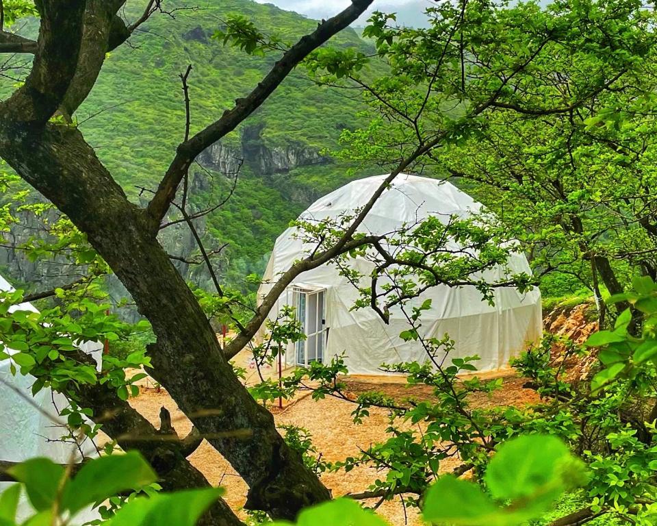 Serene Glamping سيرين — Hotel in Salalah