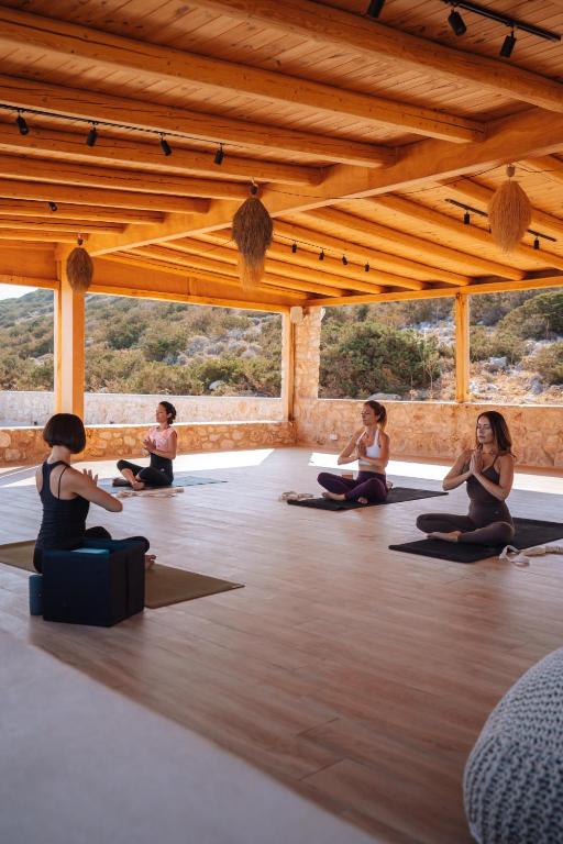 アクティビティ