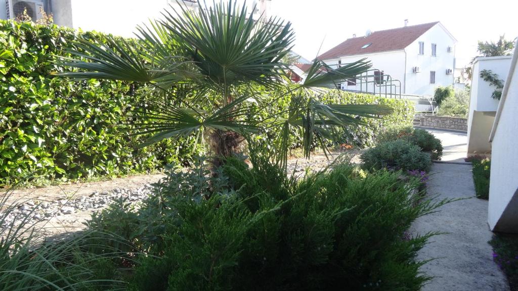 Apartments and rooms with parking space Njivice, Krk - 17010 photo