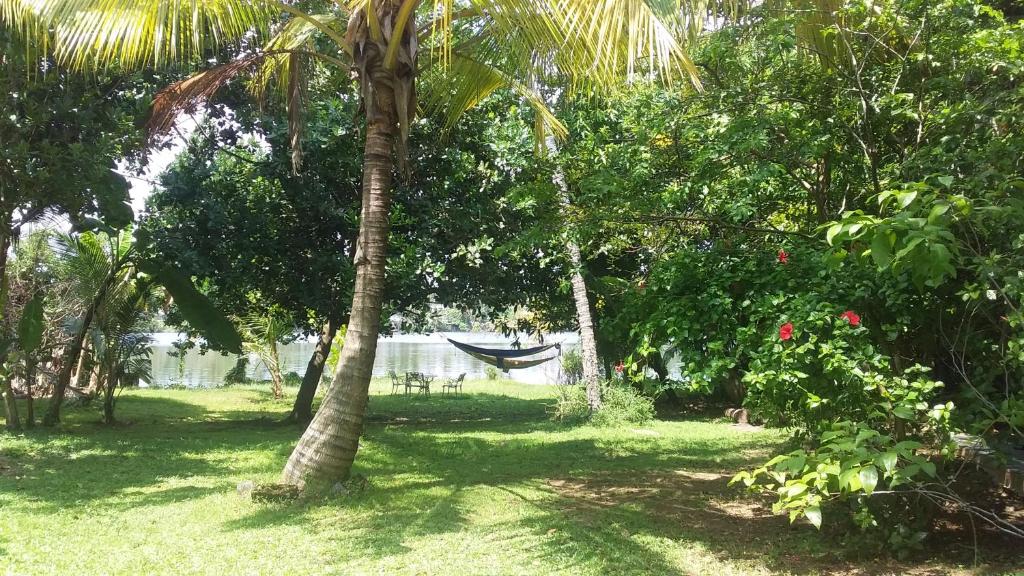 Madampa Ganga Villa. — Hotel in Hikkaduwa