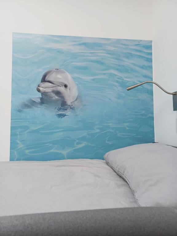 Voyage Hostel - Rooms with Shared Kitchen, Douglas