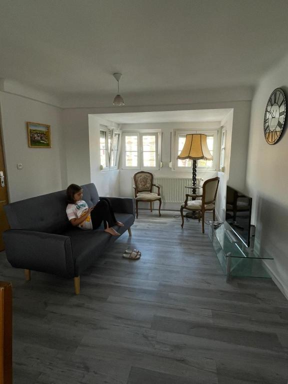 Au Bon Vieux Port Maison de vacances Alsacienne à 10mn de Ribeauvillé, Riquewihr et Kaysersberg
