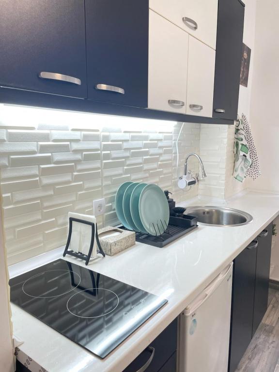 The Blue Velvet Apartment - 4