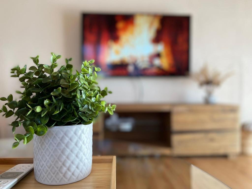 Ferienwohnung - 100m von der Talstation Aletsch Bahnen und Bahnhof Fiesch, BESTE Ausgangslage, Fiesch