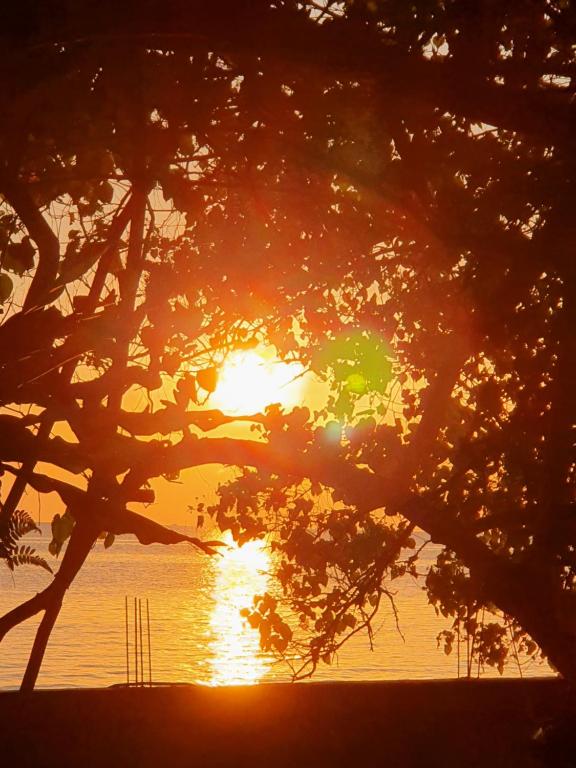 Berakit Bay Resort photo