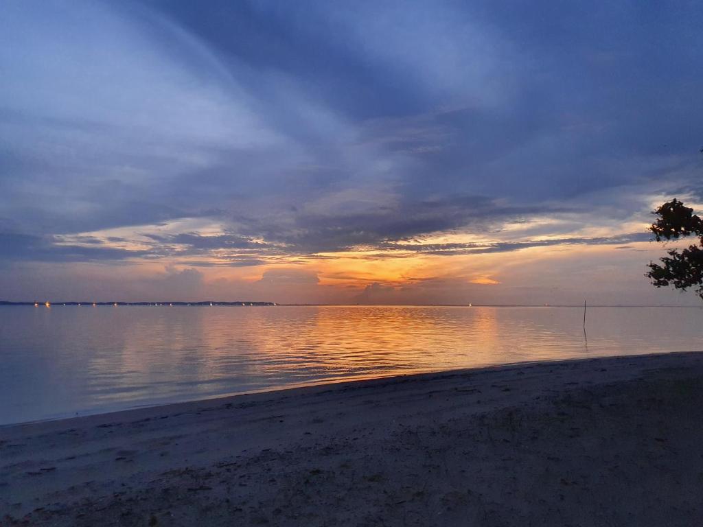 Berakit Bay Resort photo