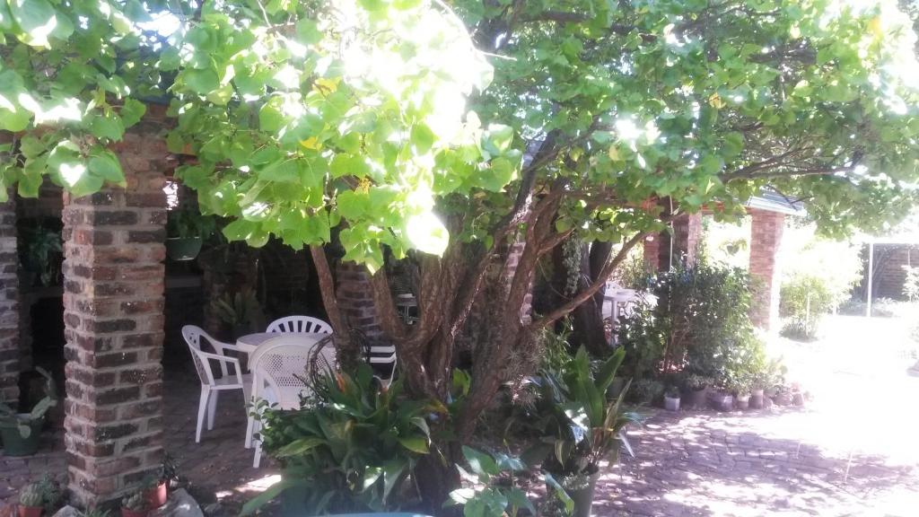 Onze Rust Guest House and caravanpark photo