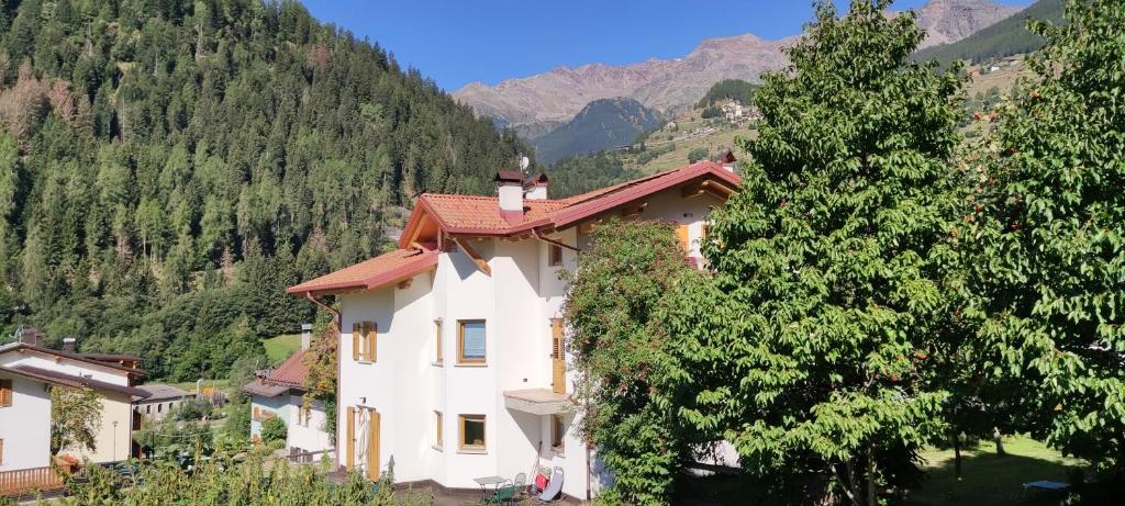 Casa Green - Cogolo di Peio - Val di Sole - 2