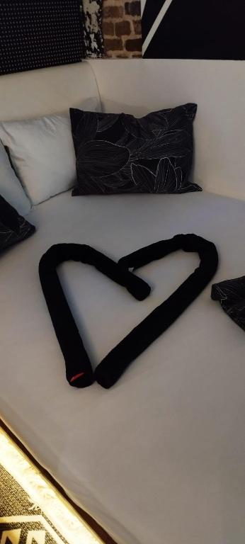 Studio Apartman Black & White Centar Sarajevo free parking - 5