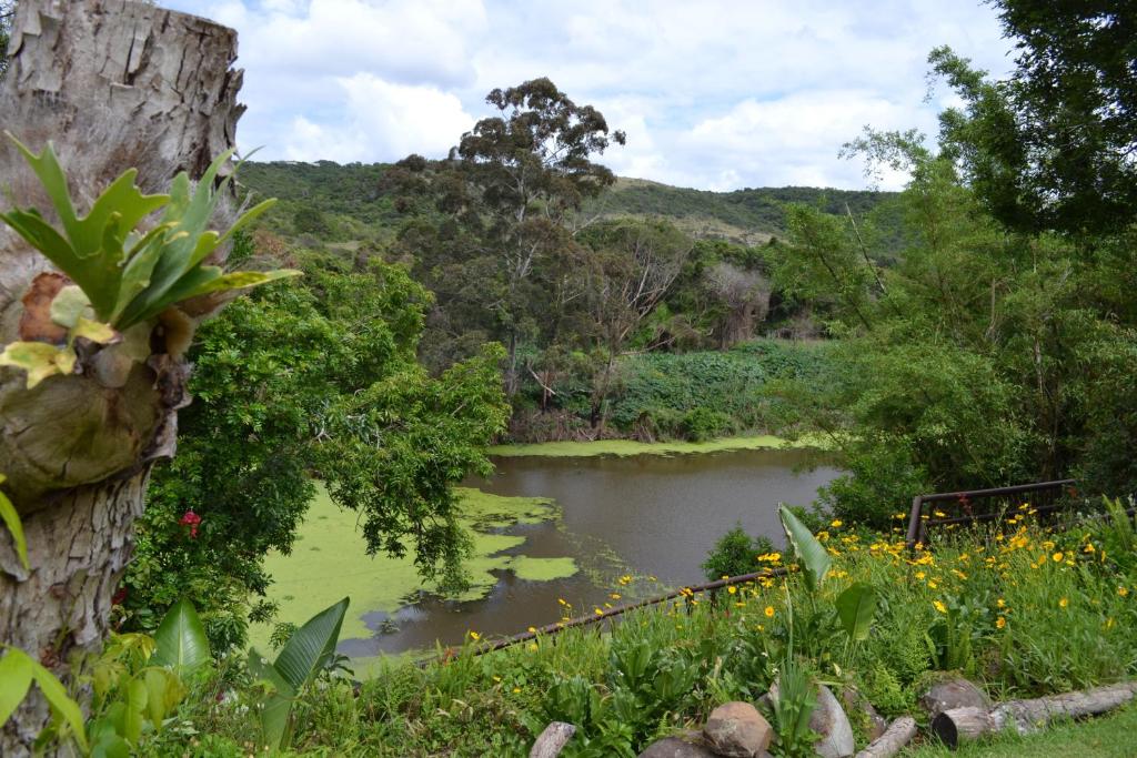 Recreational facilities