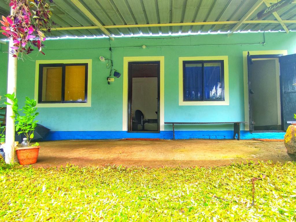 Blue Oasis photo