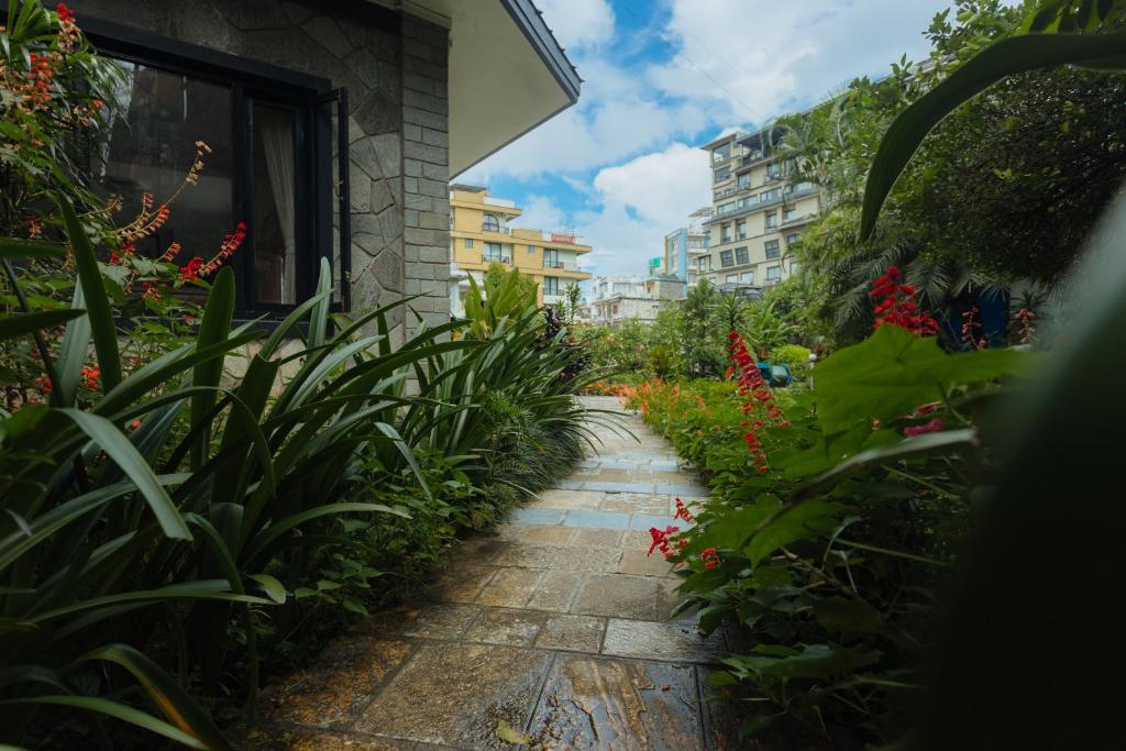 Garden