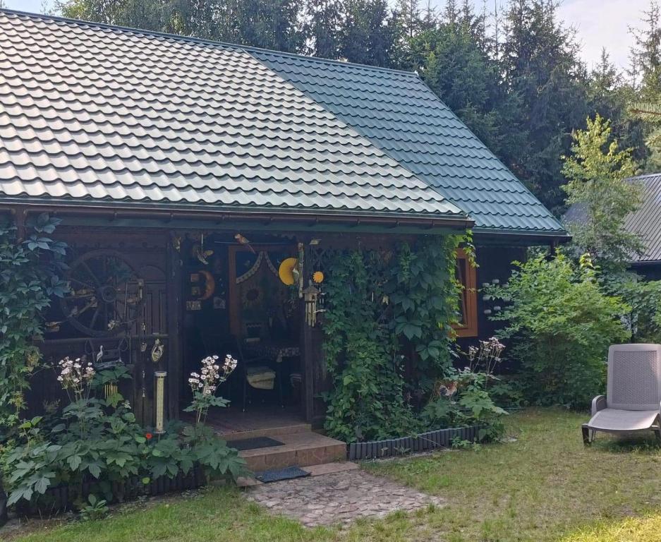 Domek całoroczny u Zosi, Ptaki